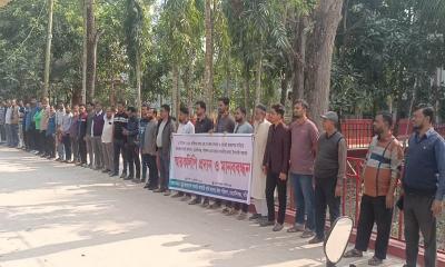 বেতন বৈষম্য দূরীকরণ ও ৯ম পে-স্কেল বাস্তবায়নের দাবিতে মেহেন্দিগঞ্জে মানববন্ধন