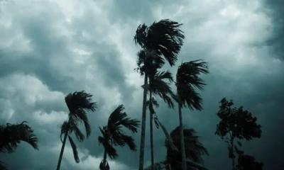 ৮ জেলায় ৬০ কিলোমিটার বেগে ঝড়ের শঙ্কা