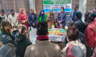 কাউনিয়ায় মিষ্টি কুমড়া চাষিদের মাঝে সার, বীজ ও প্রয়োজনীয় উপকরণ বিতরণ