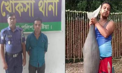 খোকসায় ডলফিন হত্যা করে টিকটকে ভিডিও প্রকাশ: যুবক আটক