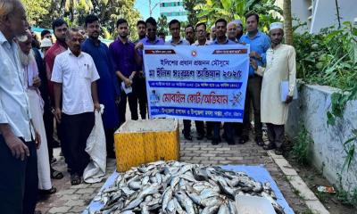 কর্ণফুলীতে জব্দ ইলিশ এতিমদের মাঝে বিতরণ