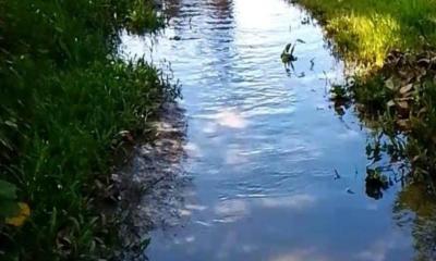 লালমোহনের সৈনিক বাজার সড়কের বেহাল দশা: চরম দুর্ভোগ