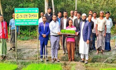 লালমনিরহাটে ট্রেতে উৎপাদিত চারা দিয়ে রাইস ট্রান্সপ্লান্টারে ধান রোপণ