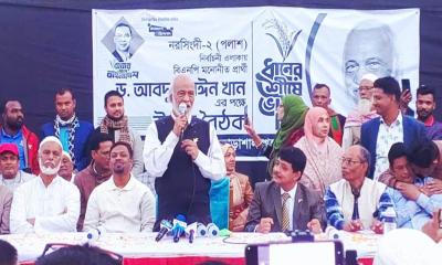 গণতন্ত্র ও কথা বলার স্বাধীনতায় বিশ্বাস করি: ড. মঈন খান