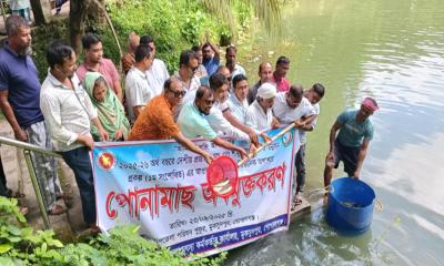 মুকসুদপুরে পোনামাছ অবমুক্ত