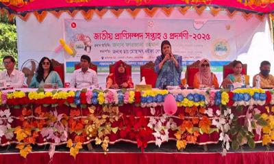 সোনারগাঁয়ে জাতীয় প্রাণিসম্পদ সপ্তাহ পালিত