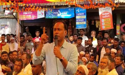 ধানের শীষ শুধু একটি প্রতীক নয়, এটি ন্যায়ের প্রতীক