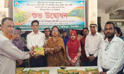 সখীপুরে বিনামূল্যে বীজ ও সার বিতরণ