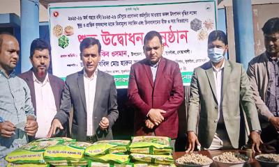 সুবর্ণচরে ২ হাজার কৃষক পেলেন বিনামূল্যে বীজ ও সার