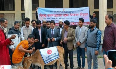 উজিরপুরে জেলেদের বিকল্প কর্মসংস্থানে গরু বিতরণ