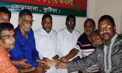 ভেড়ামারায় বিএনপির পক্ষ থেকে ১১টি পূজা মণ্ডপকে আর্থিক সহযোগিতা