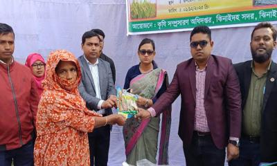 ঝিনাইদহে ২৫০০ কৃষকের মাঝে বিনামূল্যে সার বীজ বিতরণ