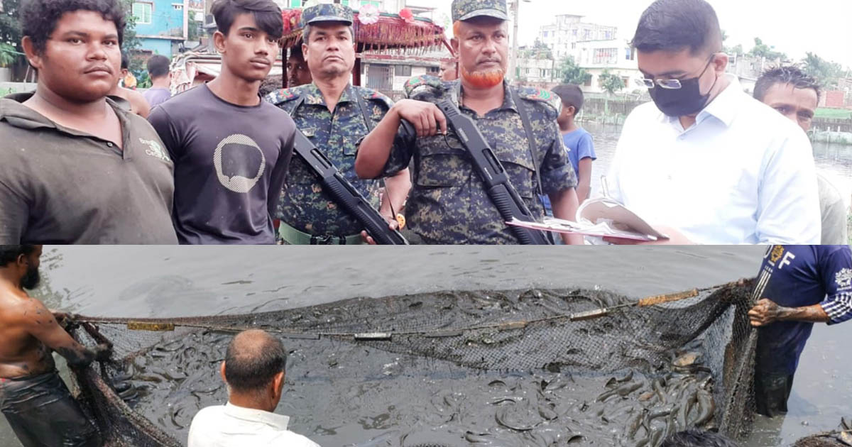 গাজীপুরে নিষিদ্ধ আফ্রিকান মাগুর চাষে অভিযান, ১২০ মন মাছ জব্দ