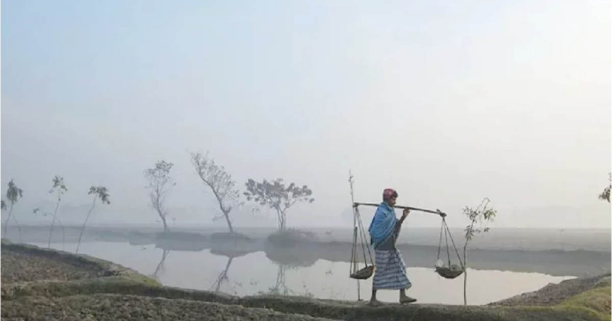পঞ্চগড়ে শীতের আগমনী বার্তা, তাপমাত্রা ১৪ ডিগ্রি