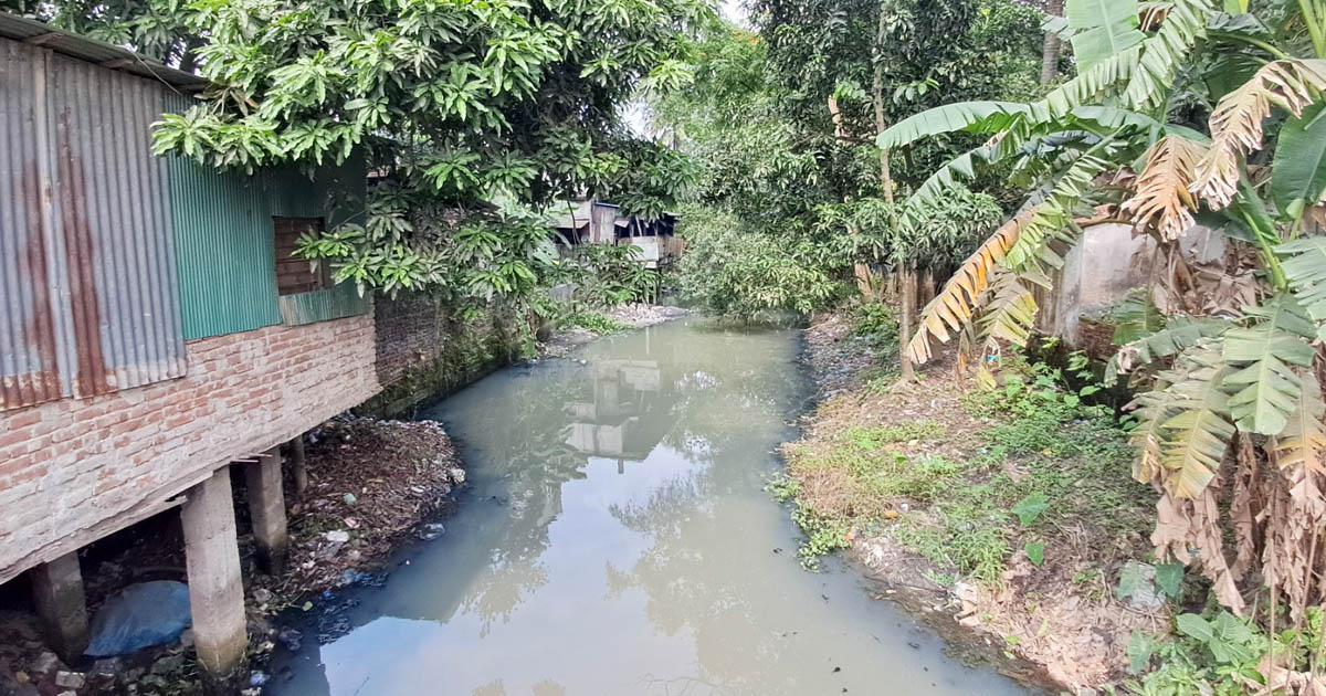 চাঁদপুরের দুটি সেচ প্রকল্পে কমেছে ২৭ হাজার হেক্টর আবাদি জমি