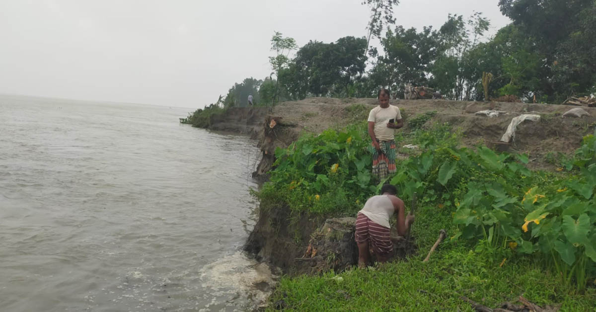 ইসলামপুরে যমুনা নদী ভাঙ্গনে আতঙ্কে মন্নিয়া গ্রামের এলাকাবাসী 