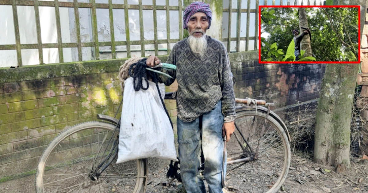 ৭০ ছুঁই ছুঁই তবুও থেমে নেই কটিয়াদীরের বৃদ্ধ হাবিবুরের জীবনযুদ্ধ