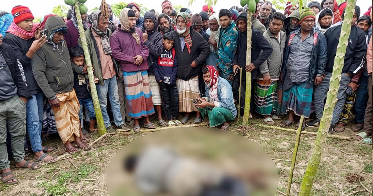 রাতে নিখোঁজ, সকালে পেঁপে বাগানে মিলল যুবকের মরদেহ