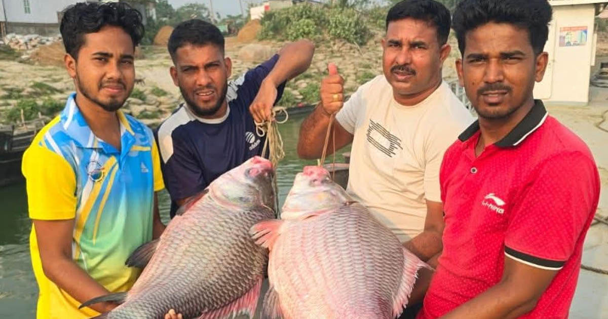 পদ্মার দুই কাতলেই বাজিমাত, ৯১ হাজারে বিক্রি
