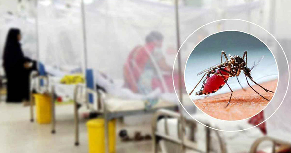 ডেঙ্গুতে প্রাণ গেল আরও ৫, হাসপাতালে ভর্তি ৮৪১