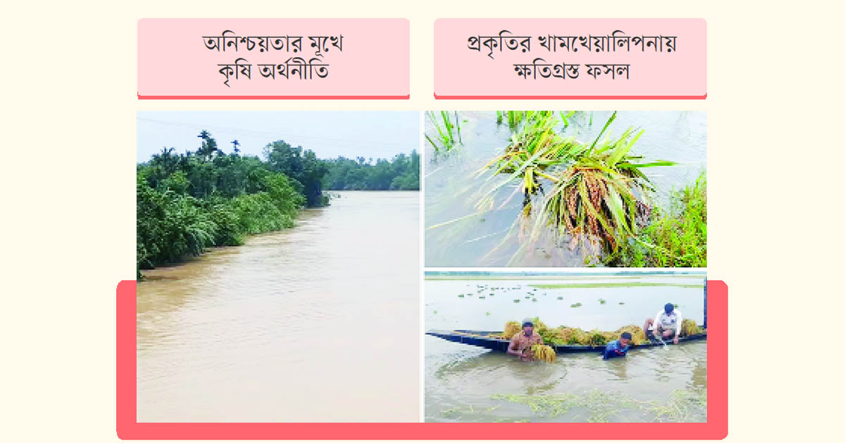 জলবায়ু সংকটে বিপন্ন কৃষি