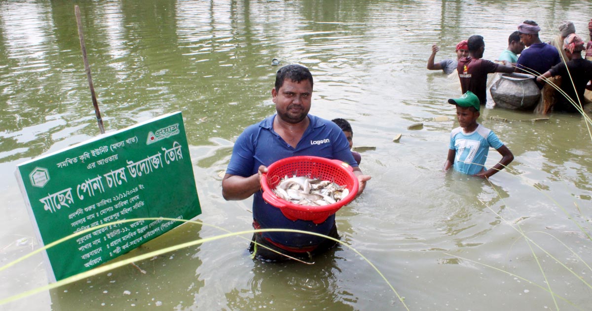 পোনা উৎপাদন করে বাইরুল ইসলাম পেয়েছেন সফলতা