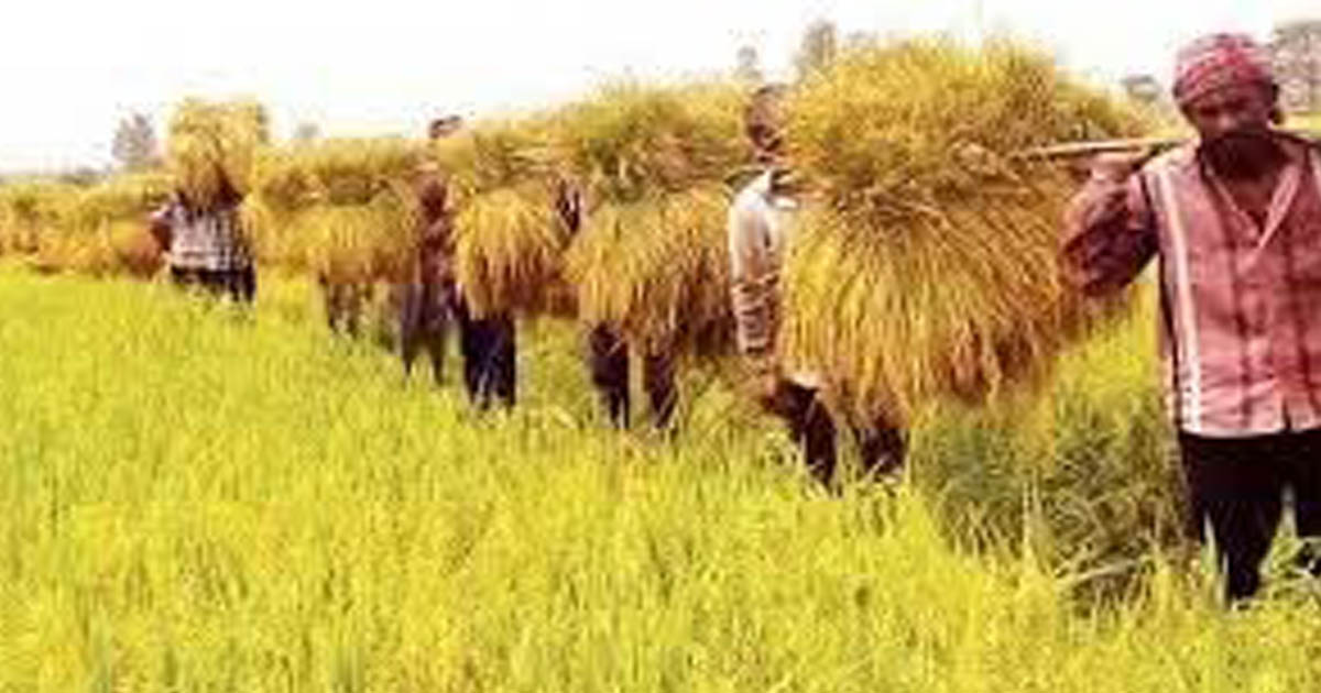 স্বাধীনতার ৫২ বছরেও হিমাগার মেলেনি ময়মনসিংহে, প্রধানমন্ত্রীর হস্তক্ষেপ কামনা