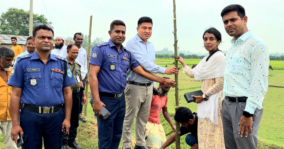 হাকিমপুরে সড়কের পাশে ৩ হাজার সজনে গাছ রোপণ