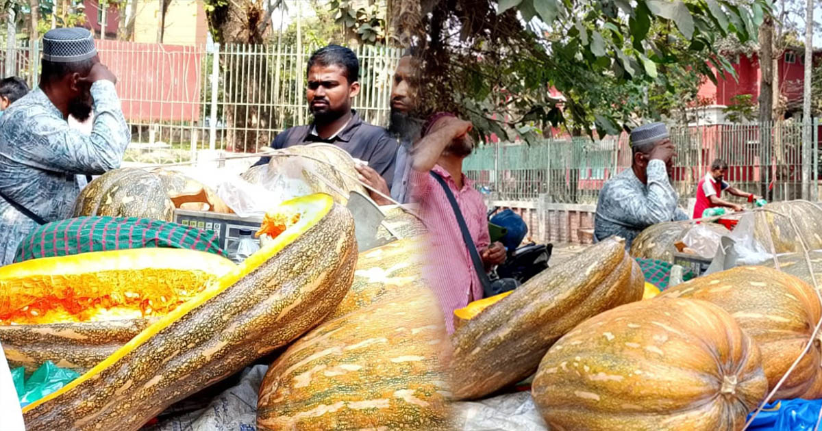 হঠাৎ বরিশালের বাজারে লিবিয়ান মিষ্টি কুমড়ার রাজত্ব