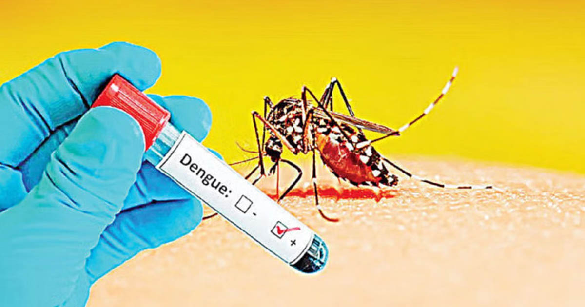 ডেঙ্গুতে ৩ মৃত্যু, হাসপাতালে আরও ৫৯৩