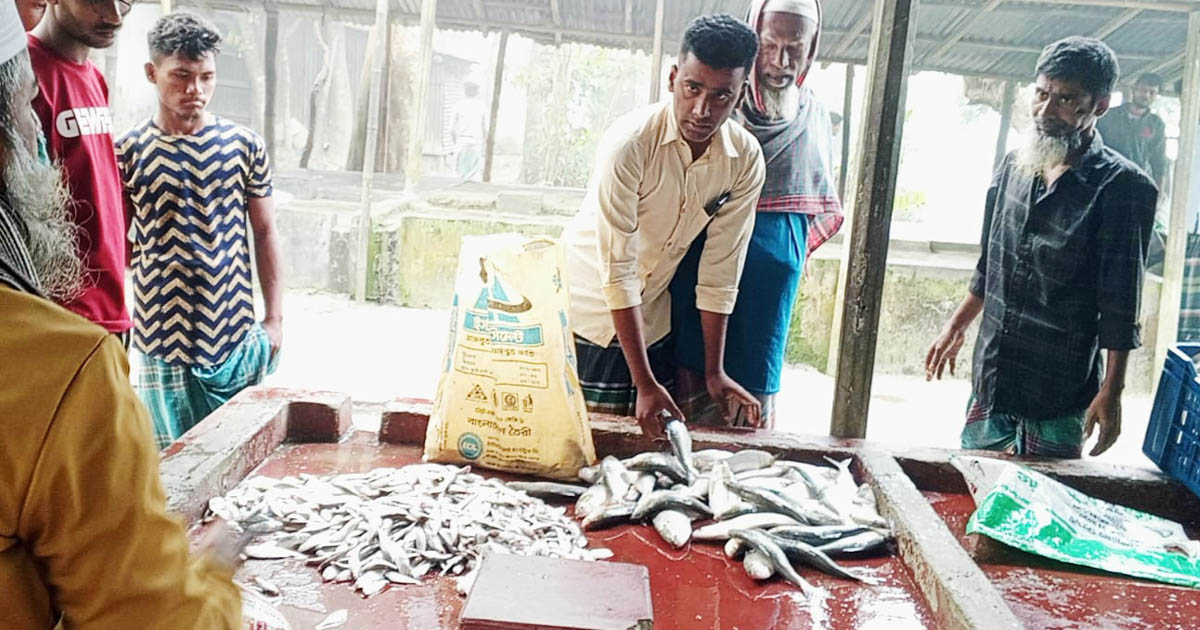 আখনের হাটে প্রকাশ্যে জাটকা বিক্রির মহোৎসব