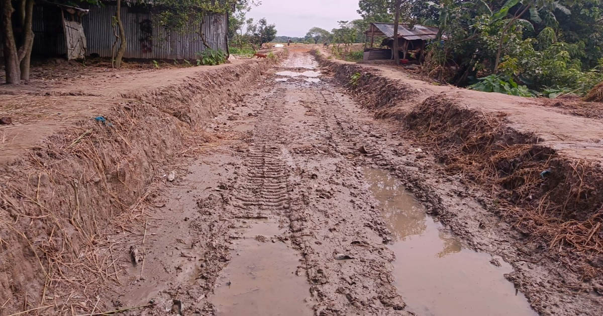 মোহনগঞ্জে রাস্তা খুঁড়ে ঠিকাদার উধাও, বিপাকে হাজারো কৃষক