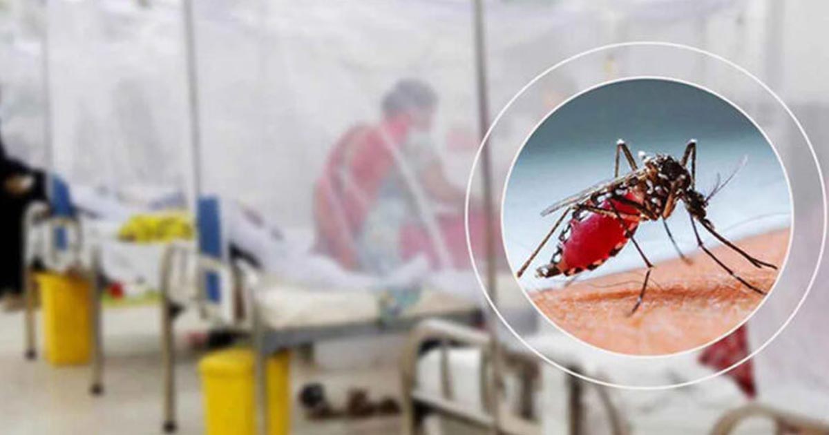 ডেঙ্গু আক্রান্তে হাসপাতালে আরও ৫৭২
