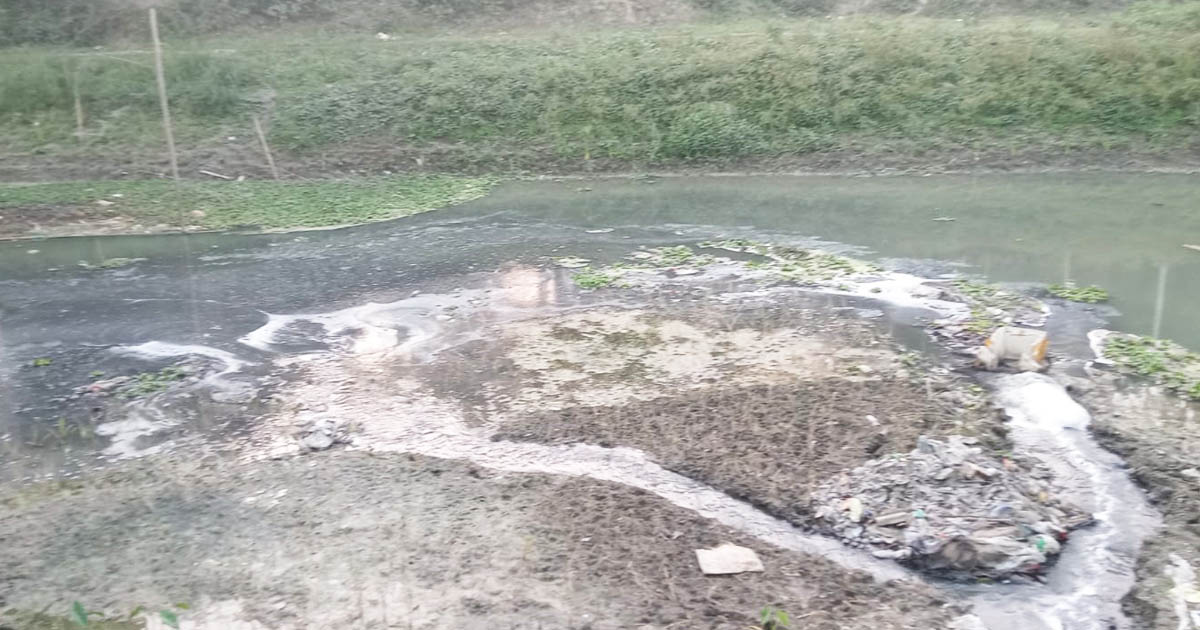 চিনিকলের বর্জ্যে দূষিত চন্দনা নদী