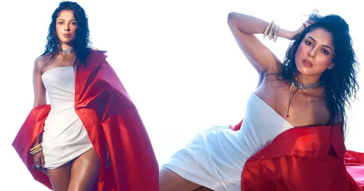 বিয়েতে অনীহা শেহনাজ গিলের