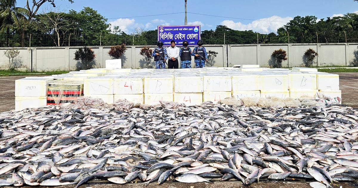 অনুমানই যখন আইন, কাগজ থাকা সত্ত্বেও কোটি টাকার ইলিশ ‘বিলীন’!