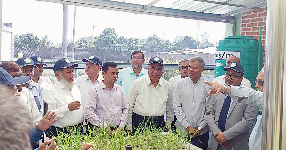গম ও ভুট্টা গবেষণা ইনস্টিটিউটে উদ্ভাবিত প্রযুক্তি ও সম্প্রসারণ নিয়ে কর্মশালা