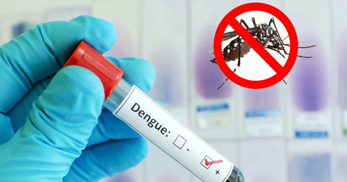 ডেঙ্গুতে আরও ২ জনের মৃত্যু, হাসপাতালে ১১৭৯