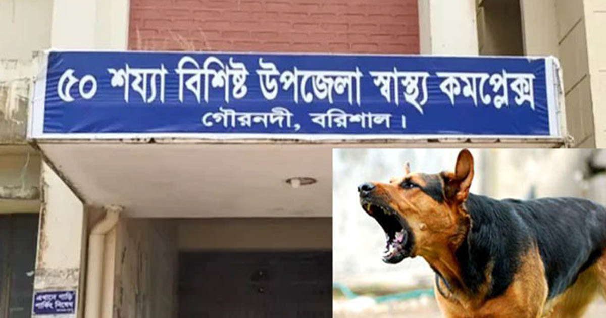 গৌরনদীতে পাগলা কুকুরের তাণ্ডব, একদিনে শিশুসহ আহত ১৫