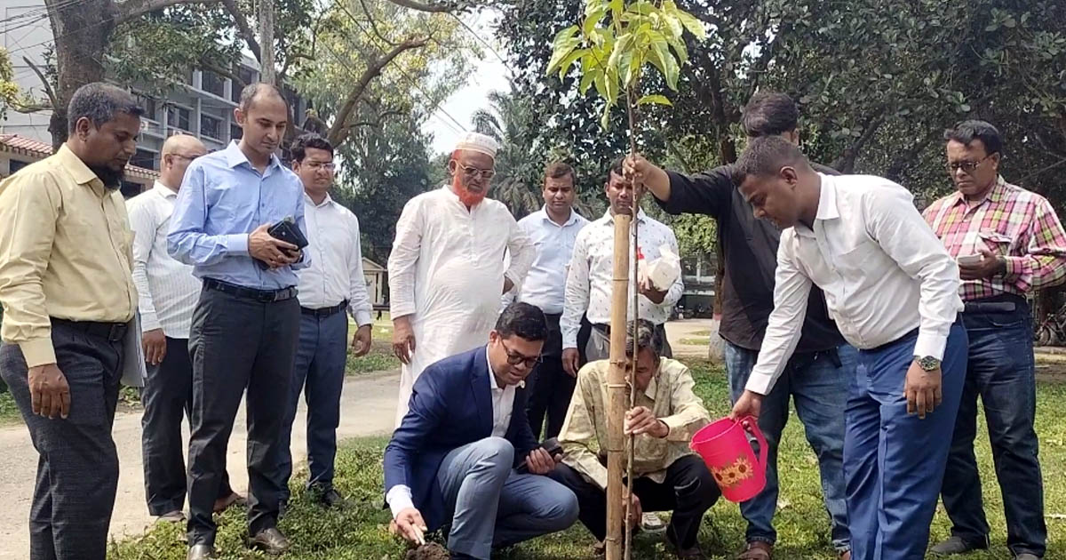 পীরগঞ্জে খাল খনন প্রকল্প পরিদর্শন ও বৃক্ষরোপণ করলেন জেলা প্রশাসক