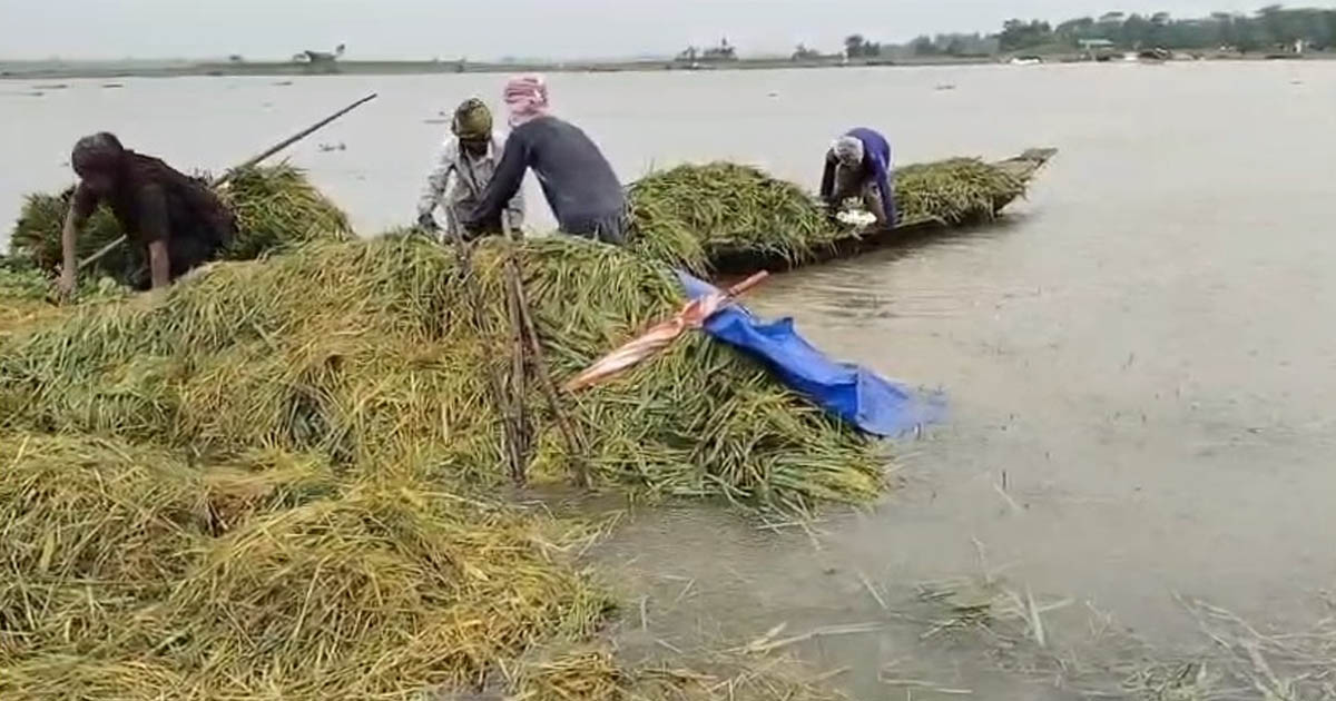 আগাম বন্যা বাড়লে বড় ঝুঁকিতে বাংলাদেশ, প্রয়োজন শক্ত প্রস্তুতি