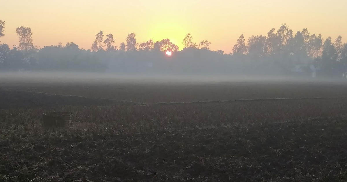 তেঁতুলিয়ায় টানা সাত দিন শৈত্যপ্রবাহ