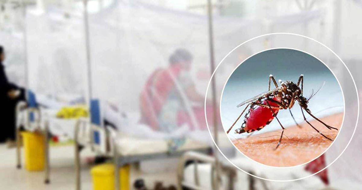ডেঙ্গুতে আরও ৩ মৃত্যু, হাসপাতালে ৭০০