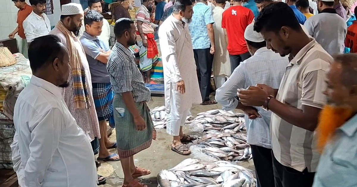 দুই মাসের নিষেধাজ্ঞা শেষ, পদ্মা-মেঘনায় আশানুরূপ মিলছে না ইলিশ