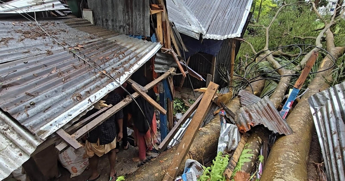 দুমকিতে কালবৈশাখীর তাণ্ডব, গাছ উপড়ে বিধ্বস্ত ৩ দোকান