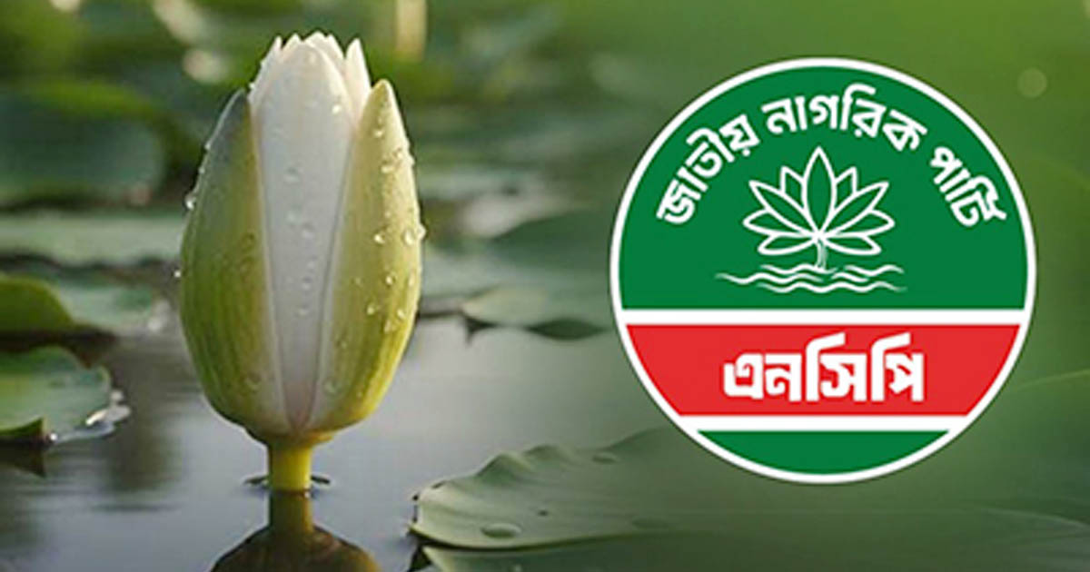  ‘শাপলা কলি’ প্রতীক নিয়ে একক লড়াইয়ে নামছে এনসিপি