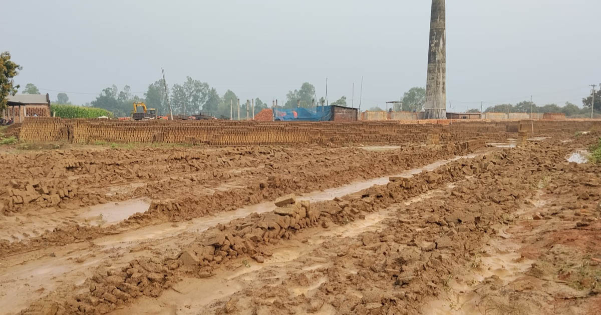 নবাবগঞ্জে আকস্মিক বৃষ্টিতে ১১ ইটভাটার ব্যাপক ক্ষতি, নষ্ট প্রায় ৬০ লাখ কাঁচা ইট