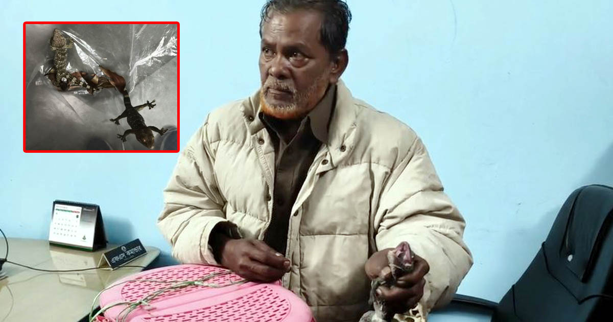 মেহেরপুরে র‌্যাবের অভিযানে ৬০ লাখ টাকার তক্ষক উদ্ধার, আটক ১