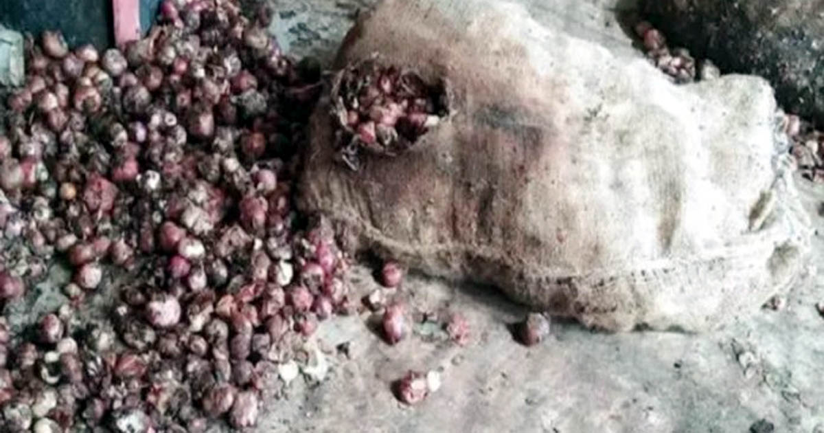 বাংলাদেশ সীমান্তে পচছে ভারতীয় পেঁয়াজ