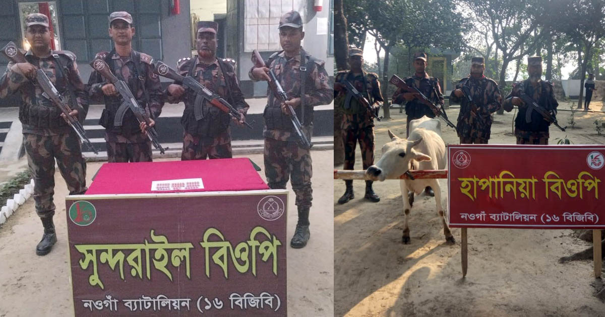 সাপাহার সীমান্তে বিজিবির অভিযানে গরু ও ট্যাপেন্টাডল উদ্ধার